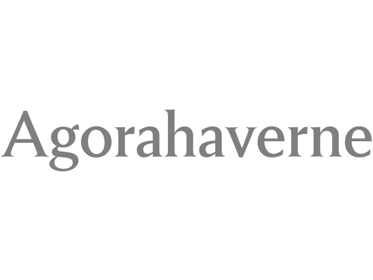 vinduespudser Ishøj